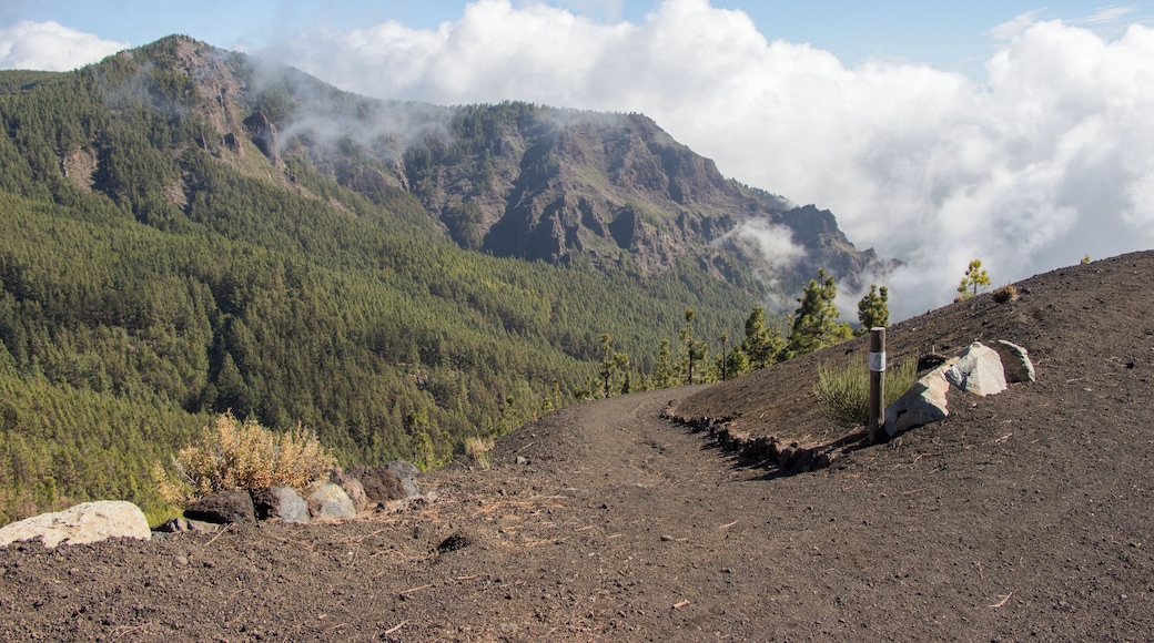 From Camino de Candaleria de la Orotava, Tenerife, Spain