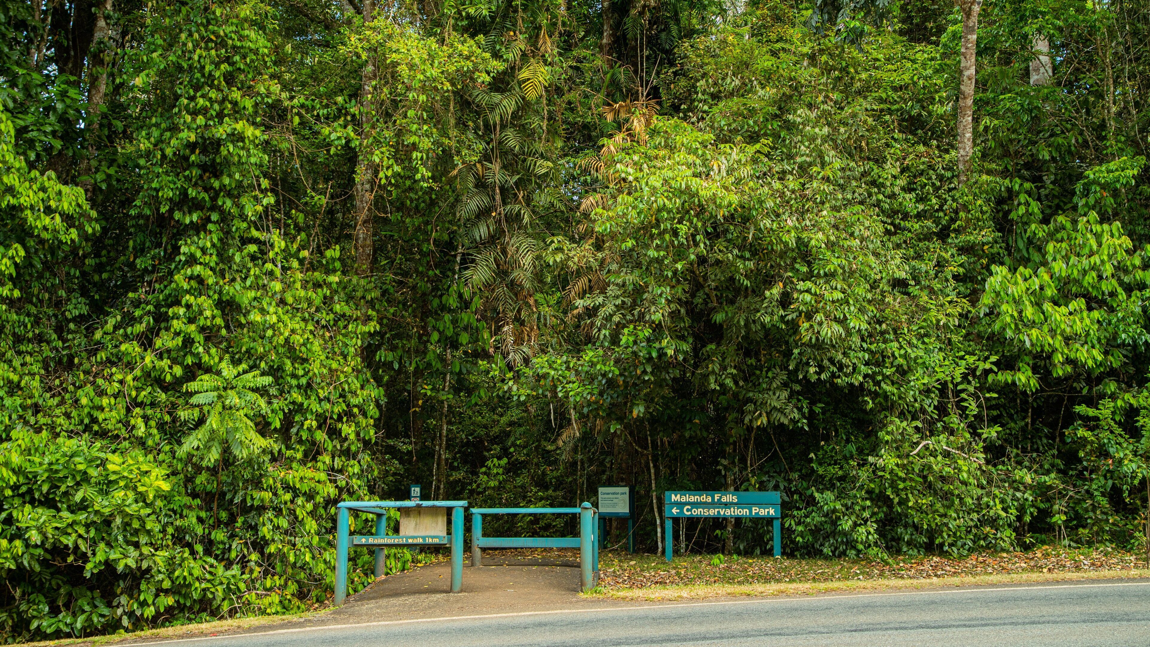 Malanda Falls Conservation Park which includes forests and signage