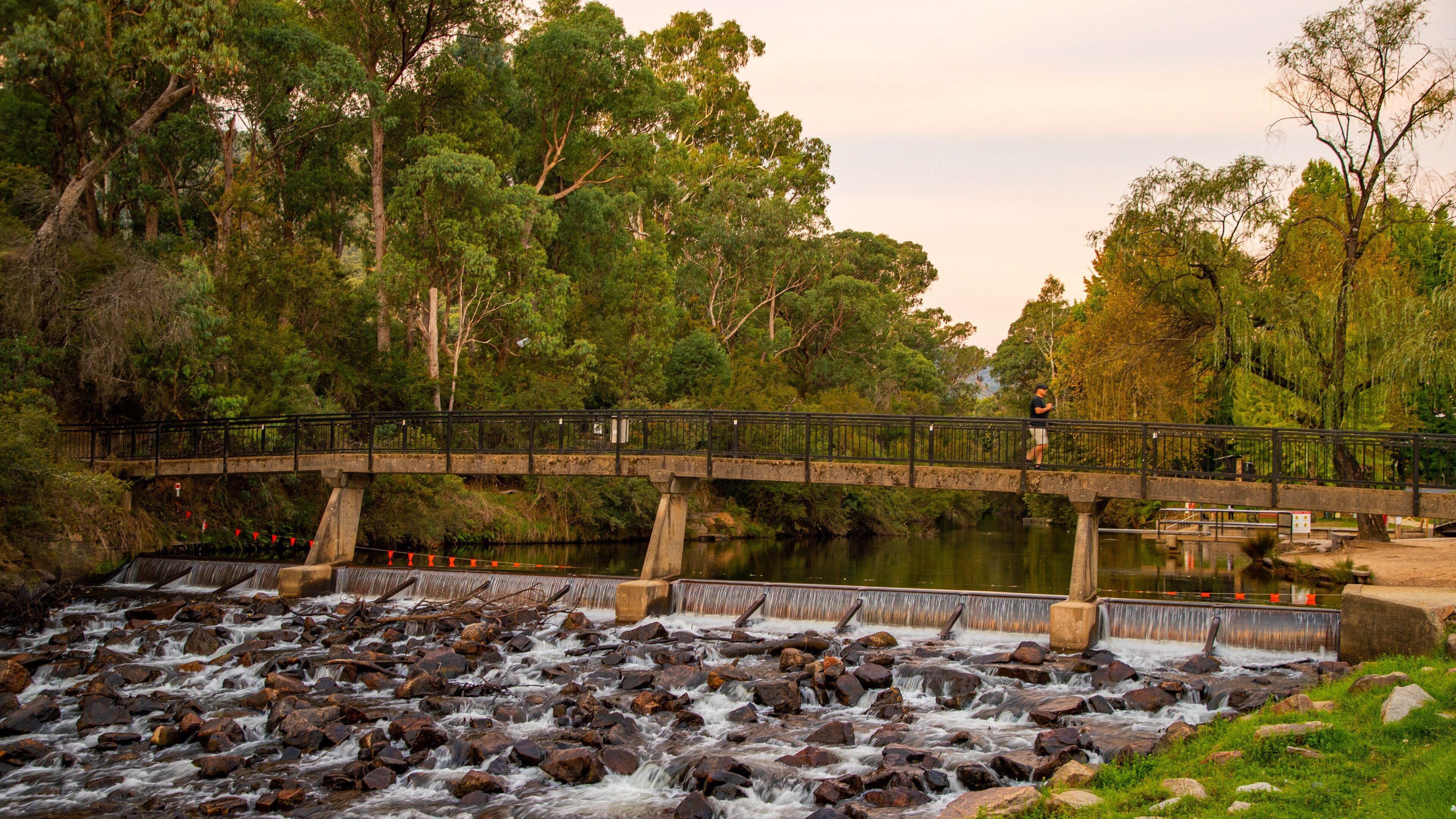 Centenary Park Streamside Reserve