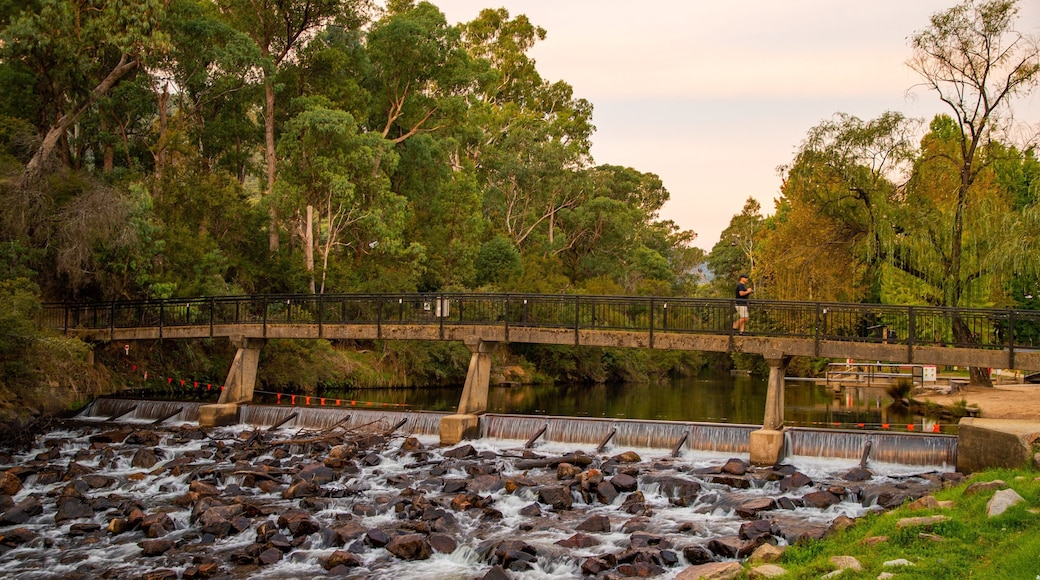 Centenary Park Streamside Reserve