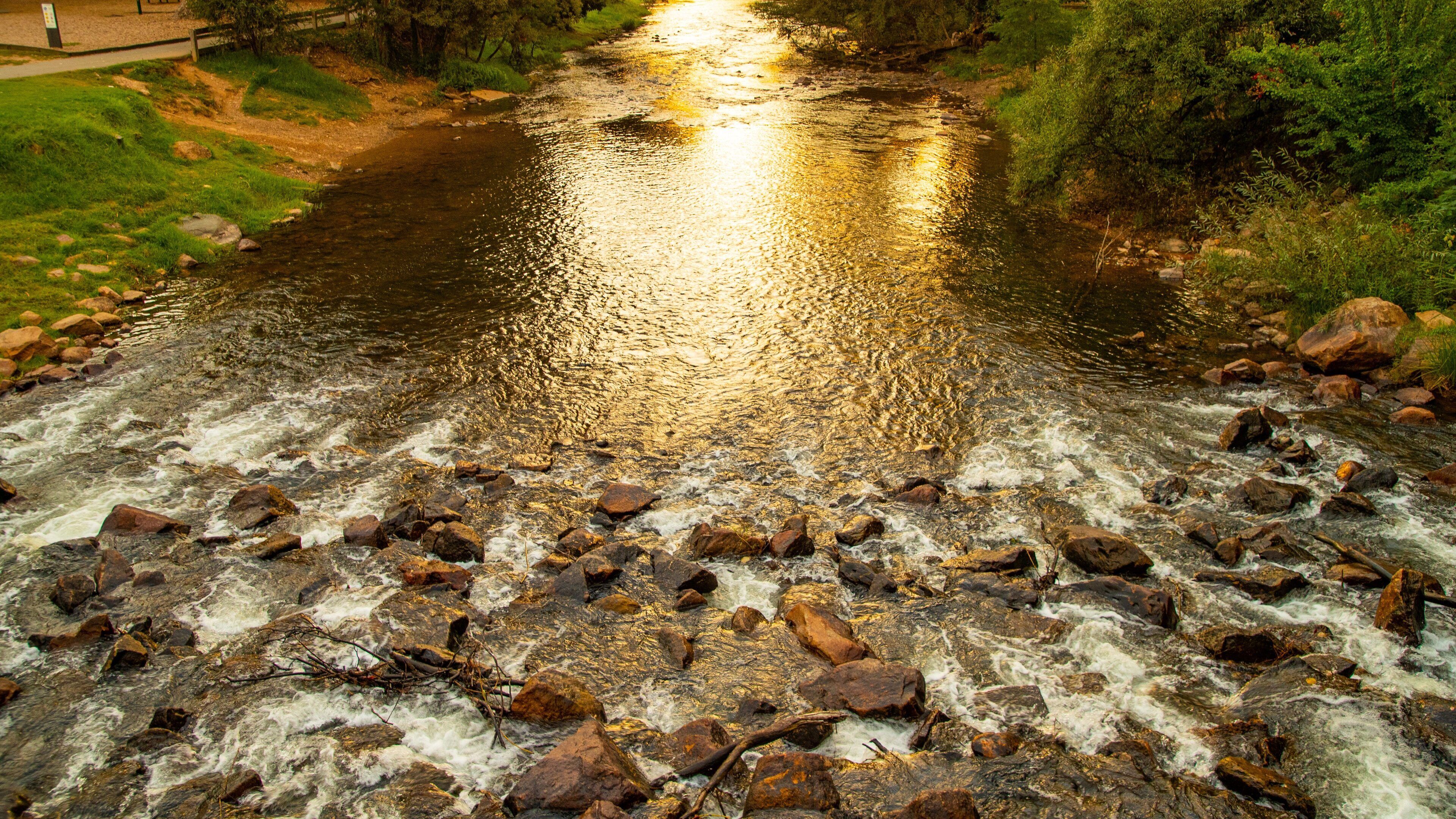 Centenary Park Streamside Reserve showing a river or creek
