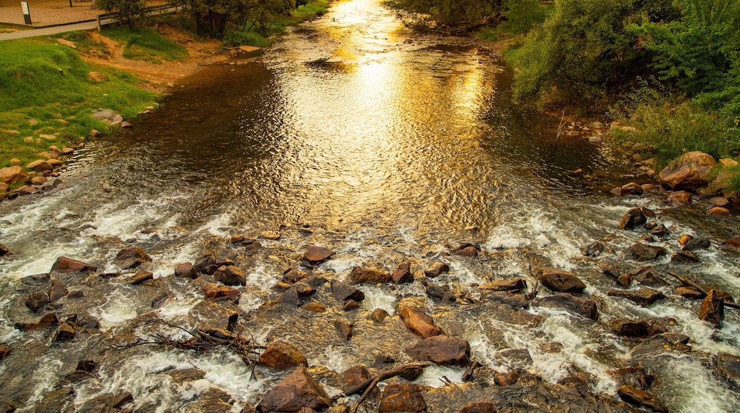 Centenary Park Streamside Reserve showing a river or creek
