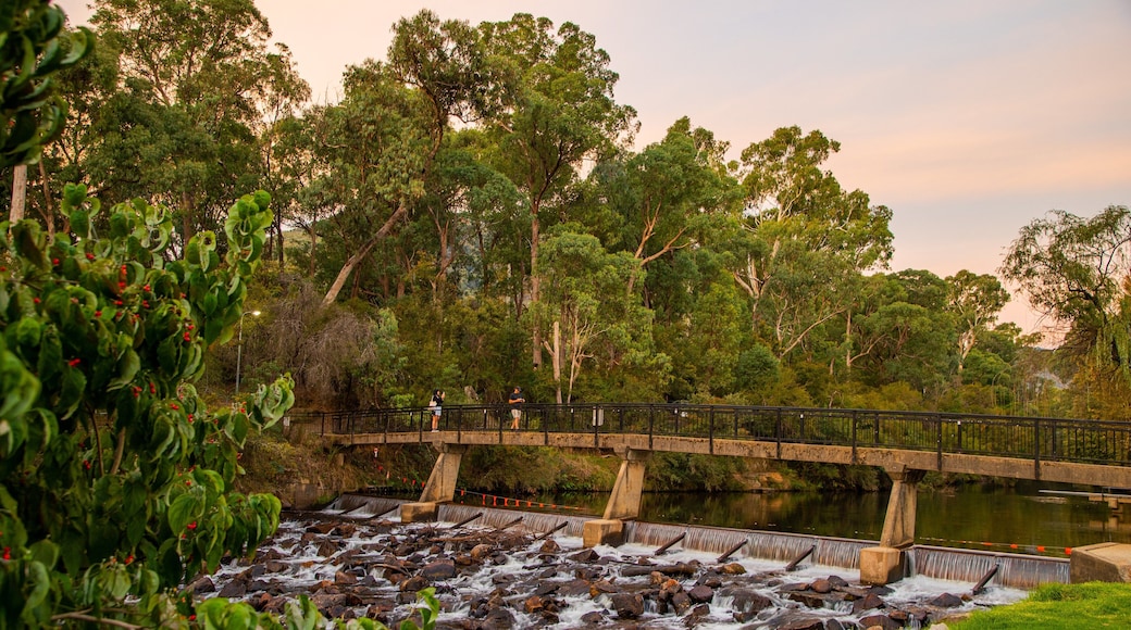 Centenary Park Streamside Reserve