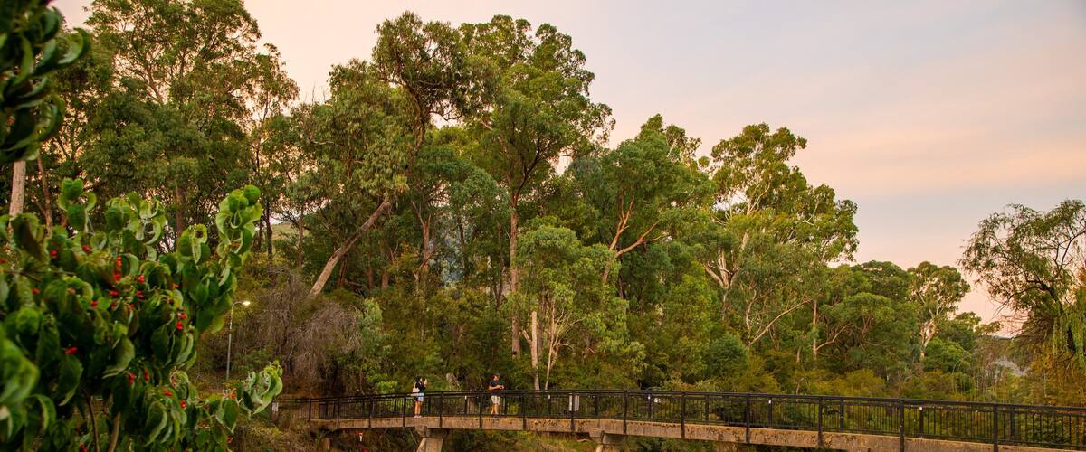 Centenary Park Streamside Reserve