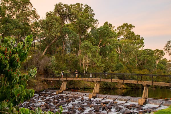 Centenary Park Streamside Reserve