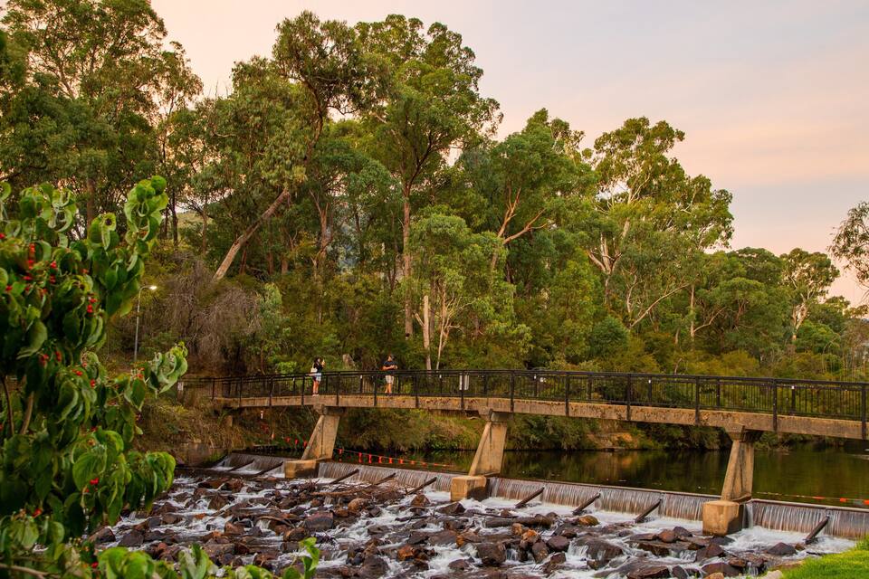 A bridge over a river with a waterfall, surrounded by dense trees.