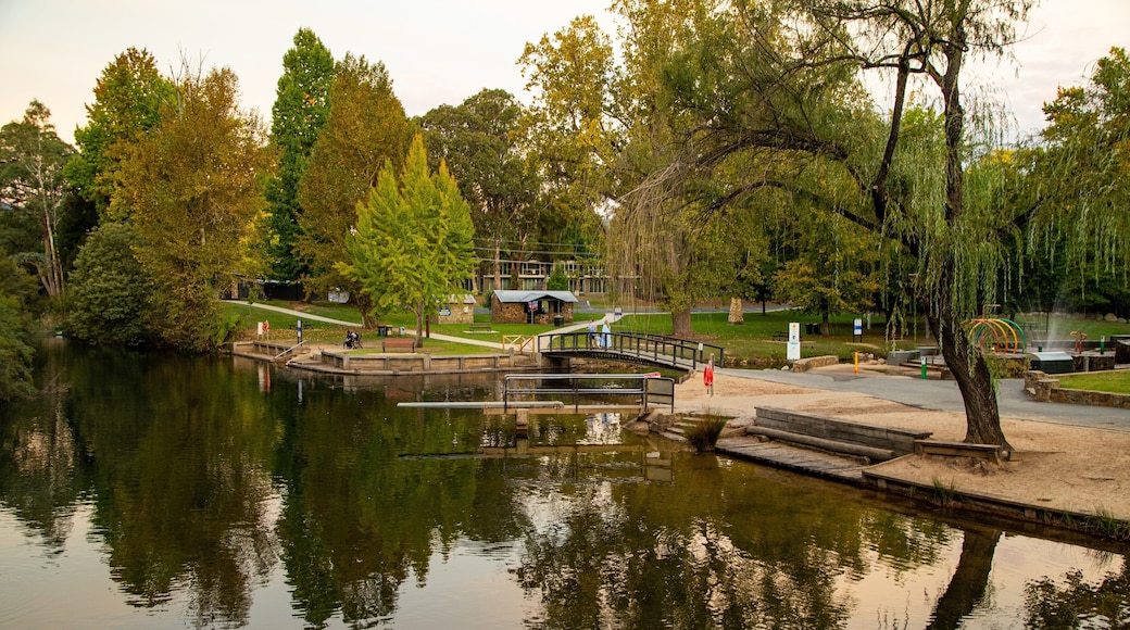 Centenary Park Streamside Reserve which includes a lake or waterhole and a garden