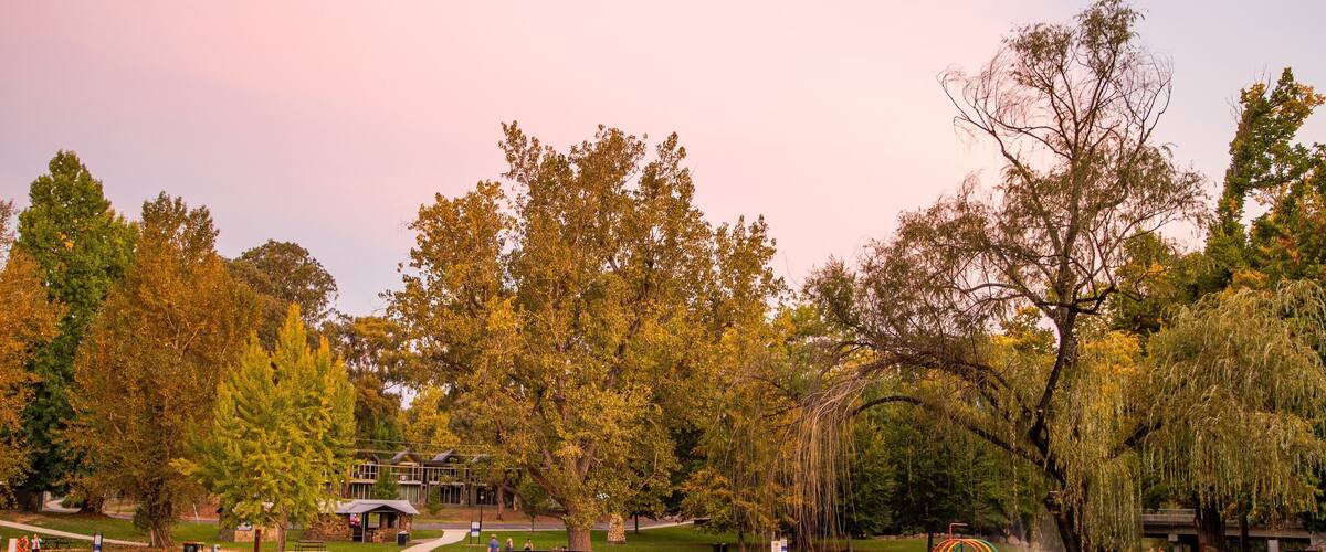 Centenary Park Streamside Reserve featuring a park, a pond and a sunset
