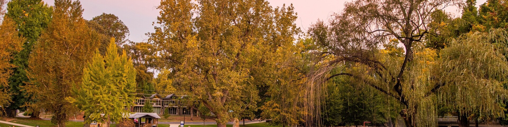 Centenary Park Streamside Reserve featuring a park, a pond and a sunset