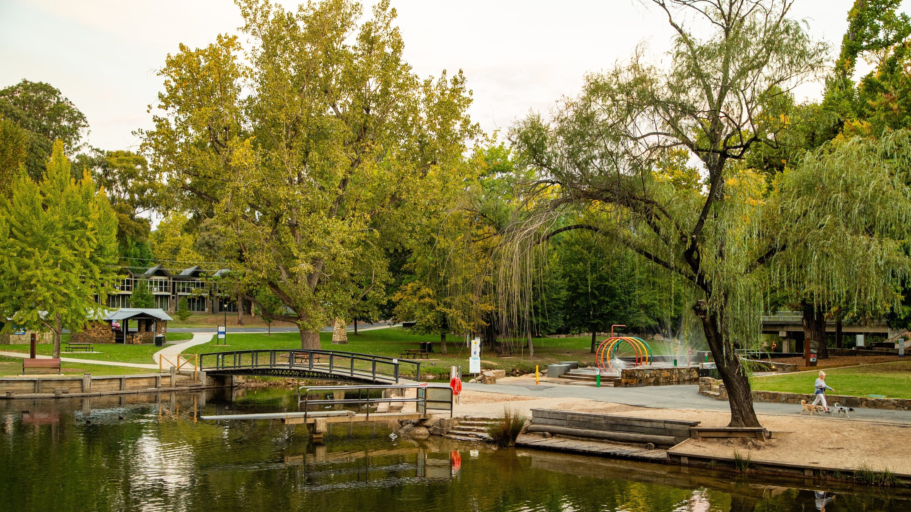 Centenary Park Streamside Reserve featuring a park and a pond