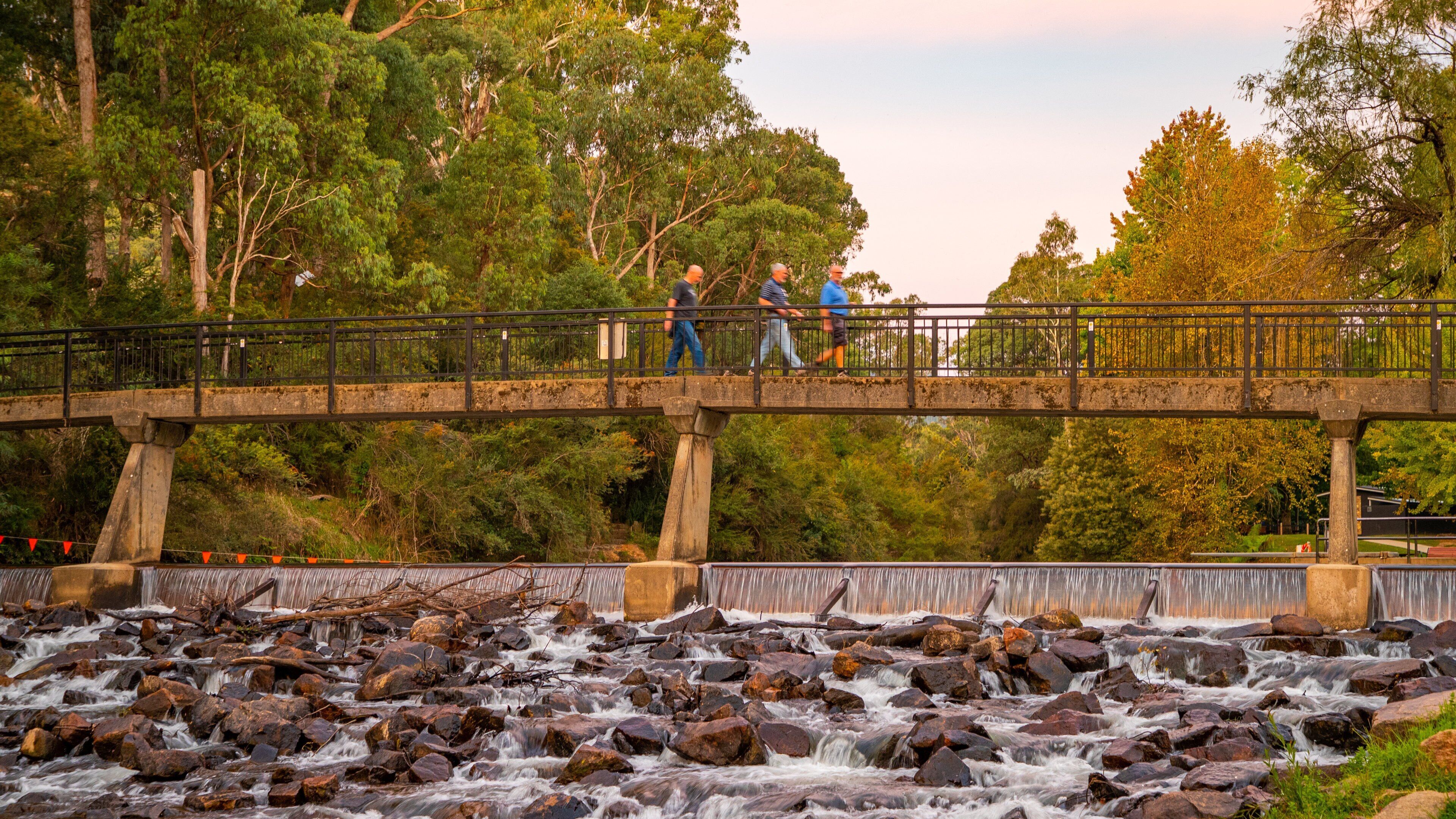 Centenary Park Streamside Reserve which includes a bridge, signage and a river or creek