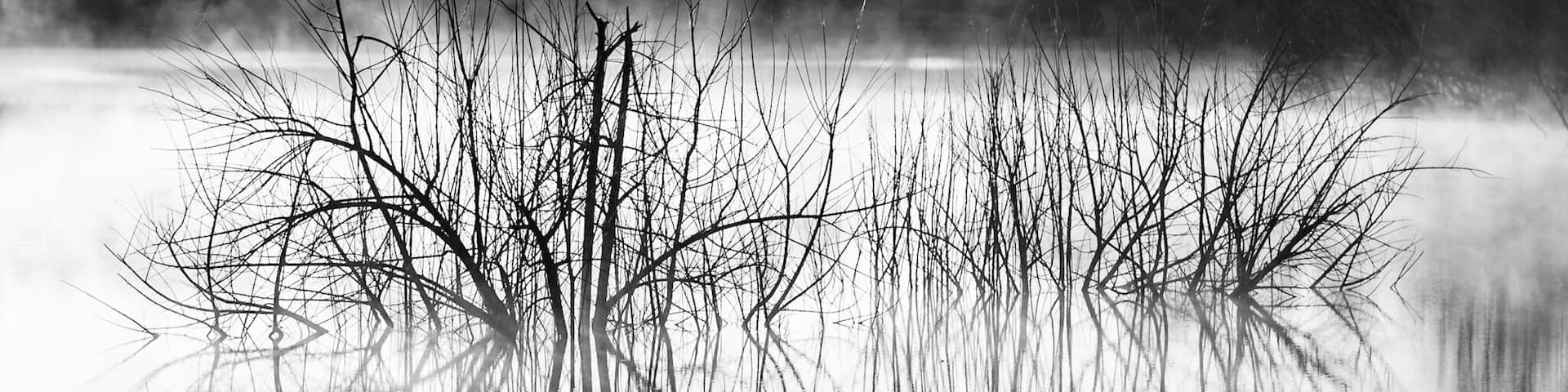 Morning mist at lake Douglas!