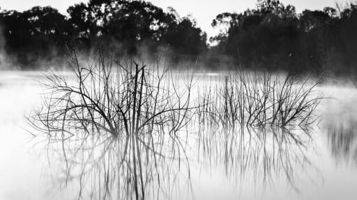 Morning mist at lake Douglas!
