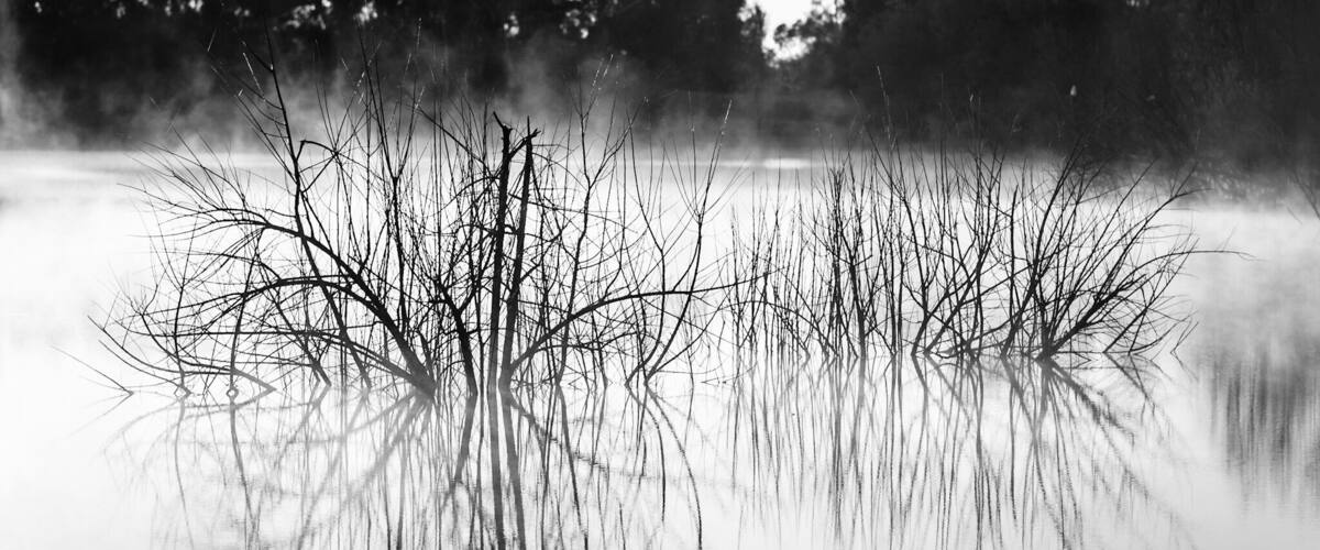 A serene landscape with a body of water reflecting bare trees and a misty background.