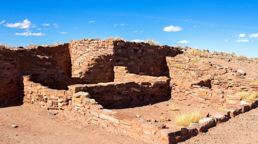 Homolovi Ruins State Park