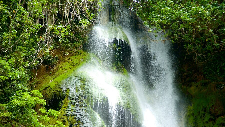 Mele Cascades which includes a waterfall