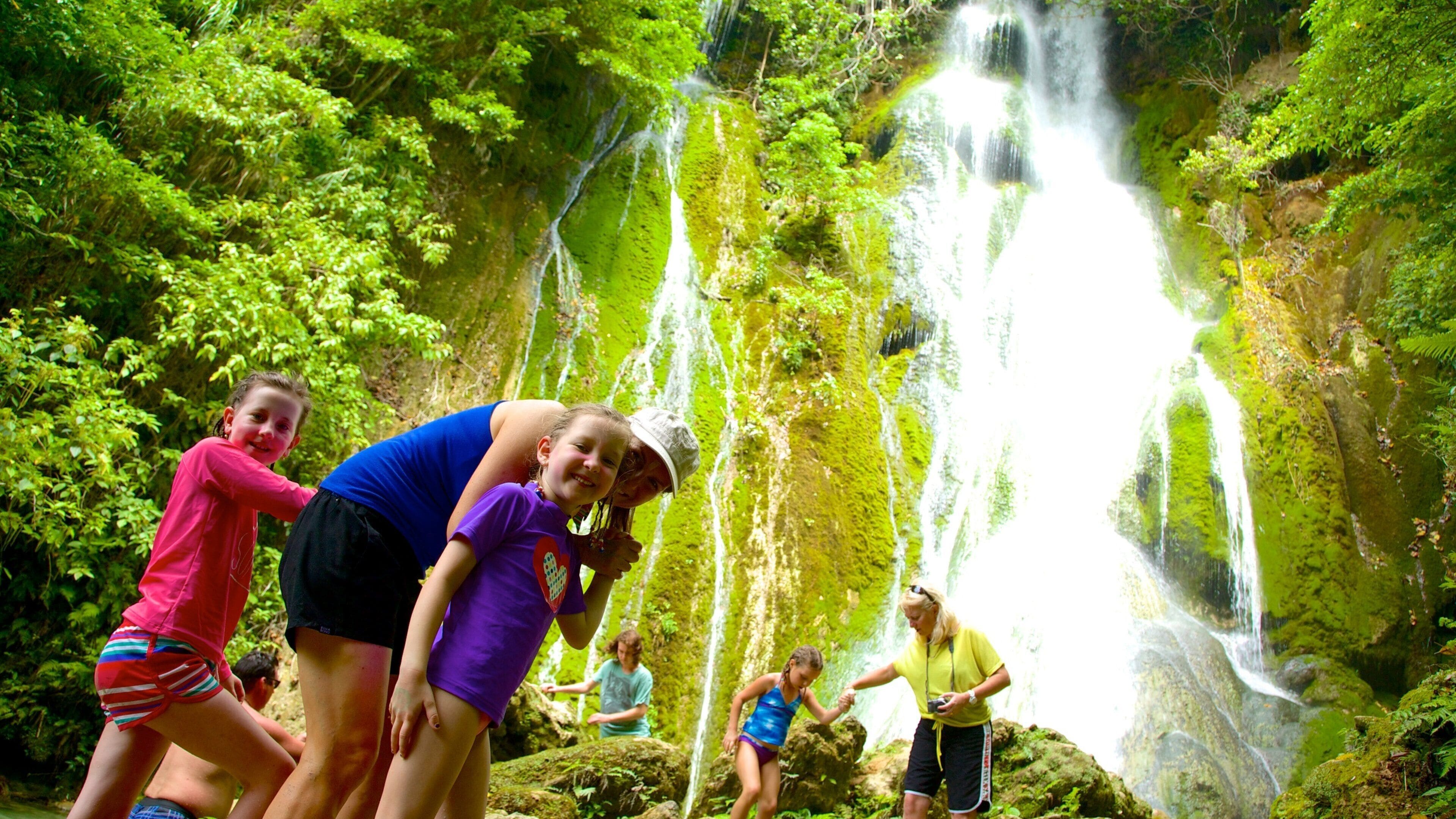A waterfall surrounded by lush greenery.
