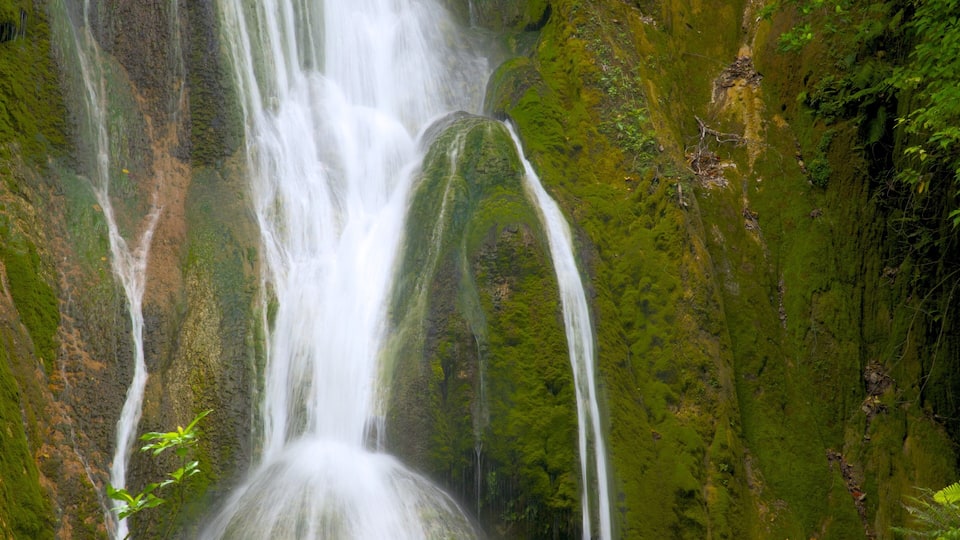 A waterfall cascading down a moss-covered cliff.