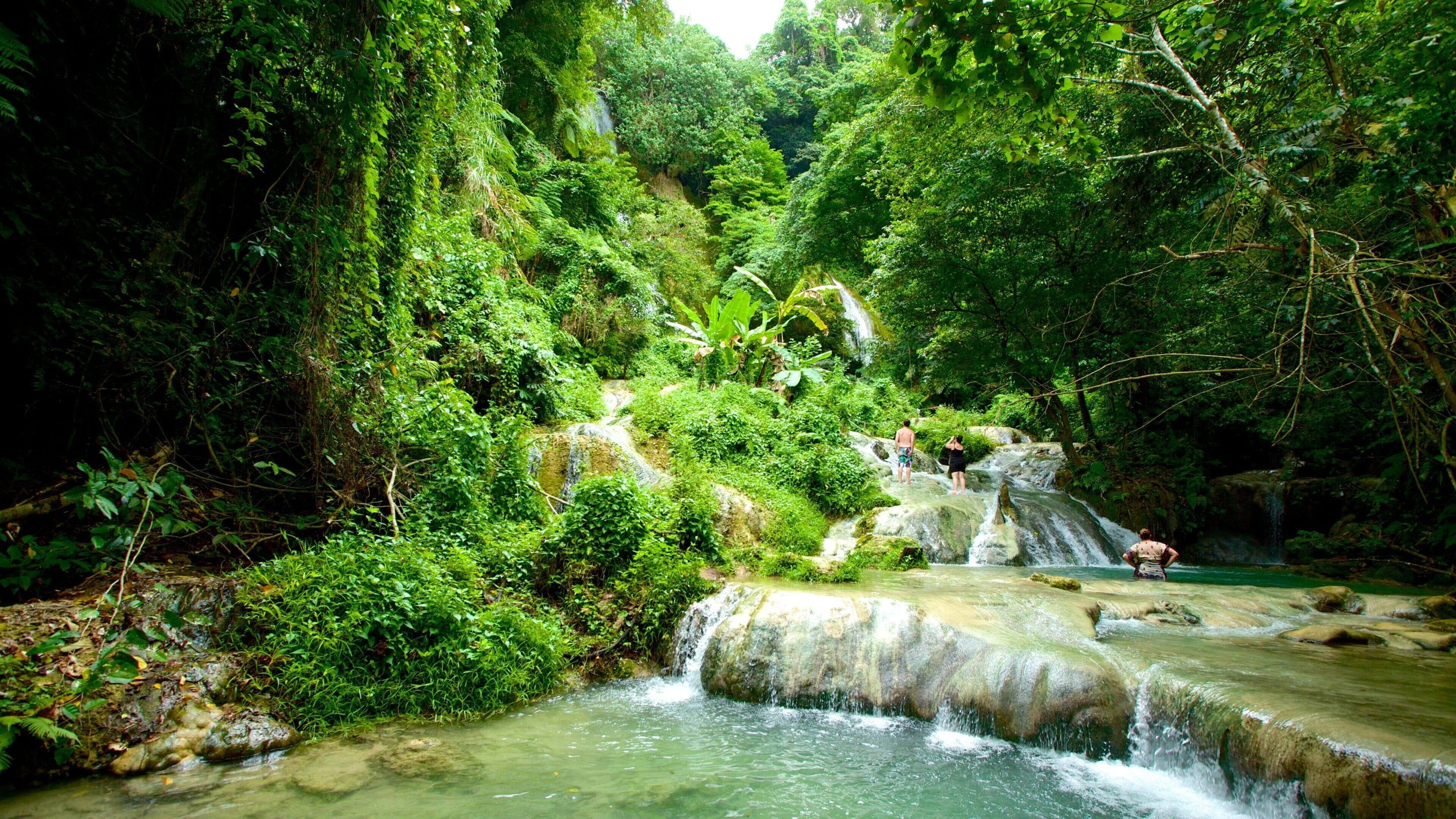 Cascadas de Mele mostrando una cascada y selva