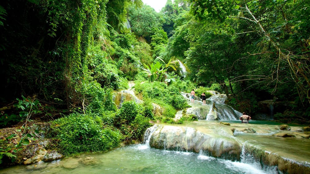Mele Cascades featuring rainforest and a cascade