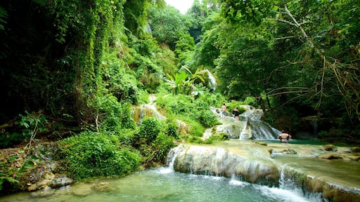 Mele Cascades showing rainforest and a cascade