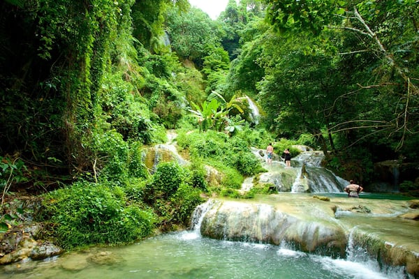 Mele Cascades showing rainforest and a cascade
