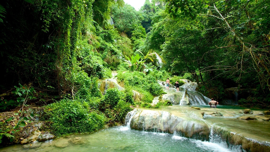 Mele Cascades showing rainforest and a cascade
