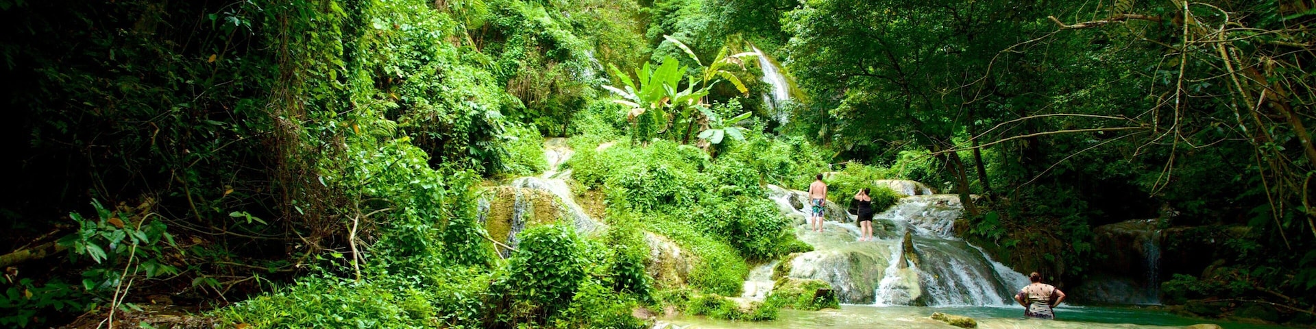 Mele Cascades featuring rainforest and a cascade