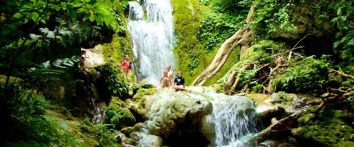 Cascades de Mele qui includes chute d\'eau et forêt vierge aussi bien que enfants