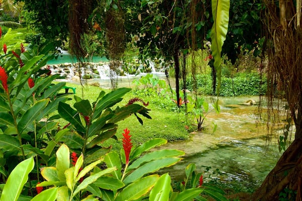 Cascades de Mele montrant scĂšnes tropicales, fleurs sauvages et fleurs