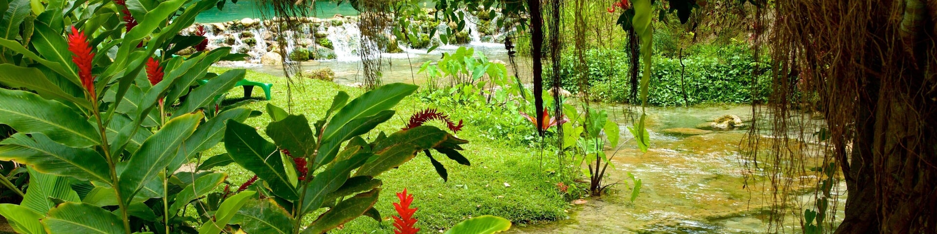 Cascadas de Mele ofreciendo flores, escenas tropicales y flores salvajes