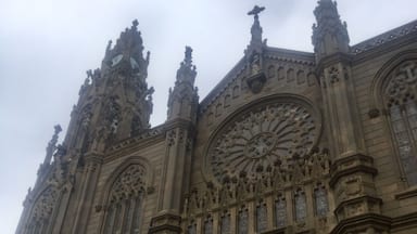 Uma catedral em estilo gótico com intrincadas esculturas em pedra, grandes janelas rosáceas e altas torres.