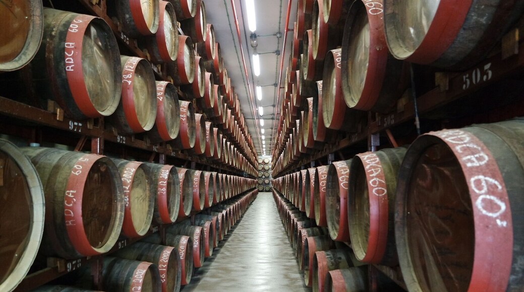 This was so cool. The rum factory in Arcas, Gran Canaria...and all those free tastings! adventureswithbea.com