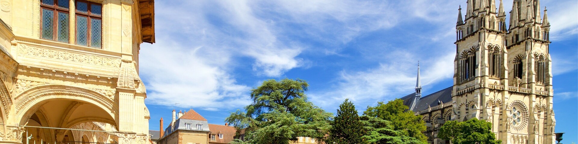Moulins Cathedral which includes heritage architecture, a church or cathedral and a garden