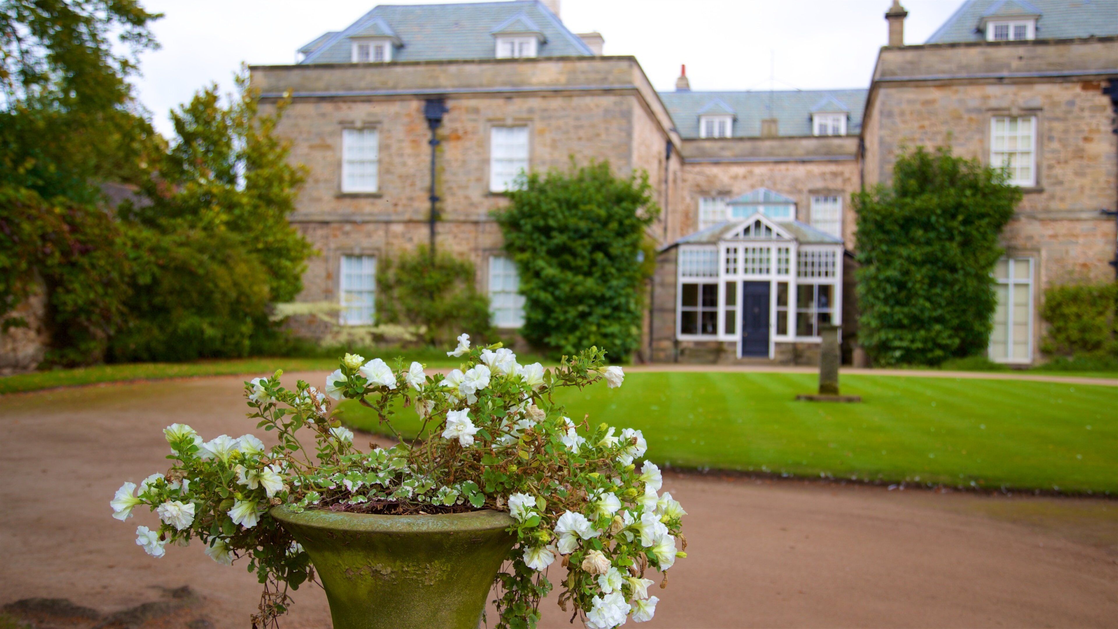Melbourne Hall which includes a house, a park and flowers