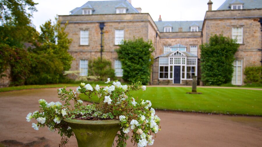 Melbourne Hall which includes a house, a park and flowers