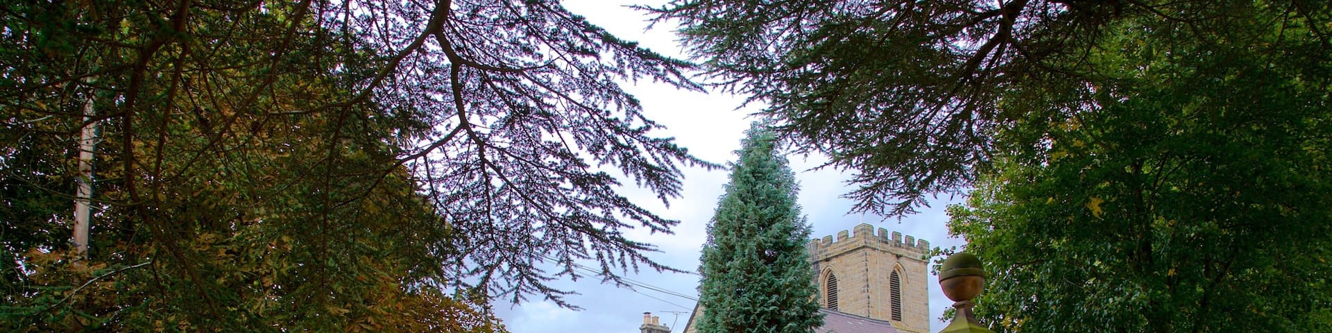 Melbourne Parish Church featuring heritage elements