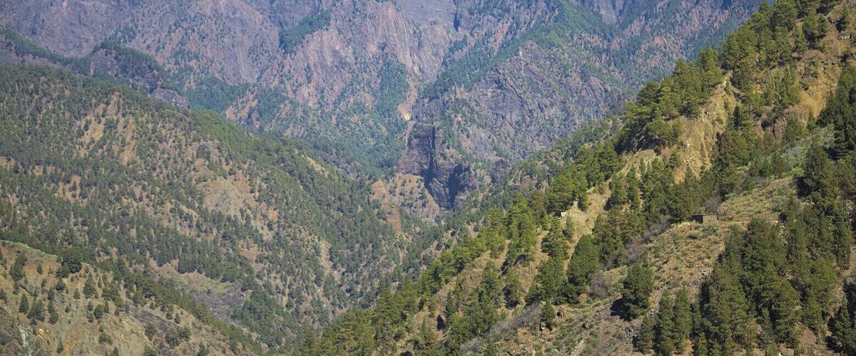 Wolkenspiel an der Caldera - Aussichtspunkt Cancelita.
Mirador de Cancelita - clouds hangig at the caldera.