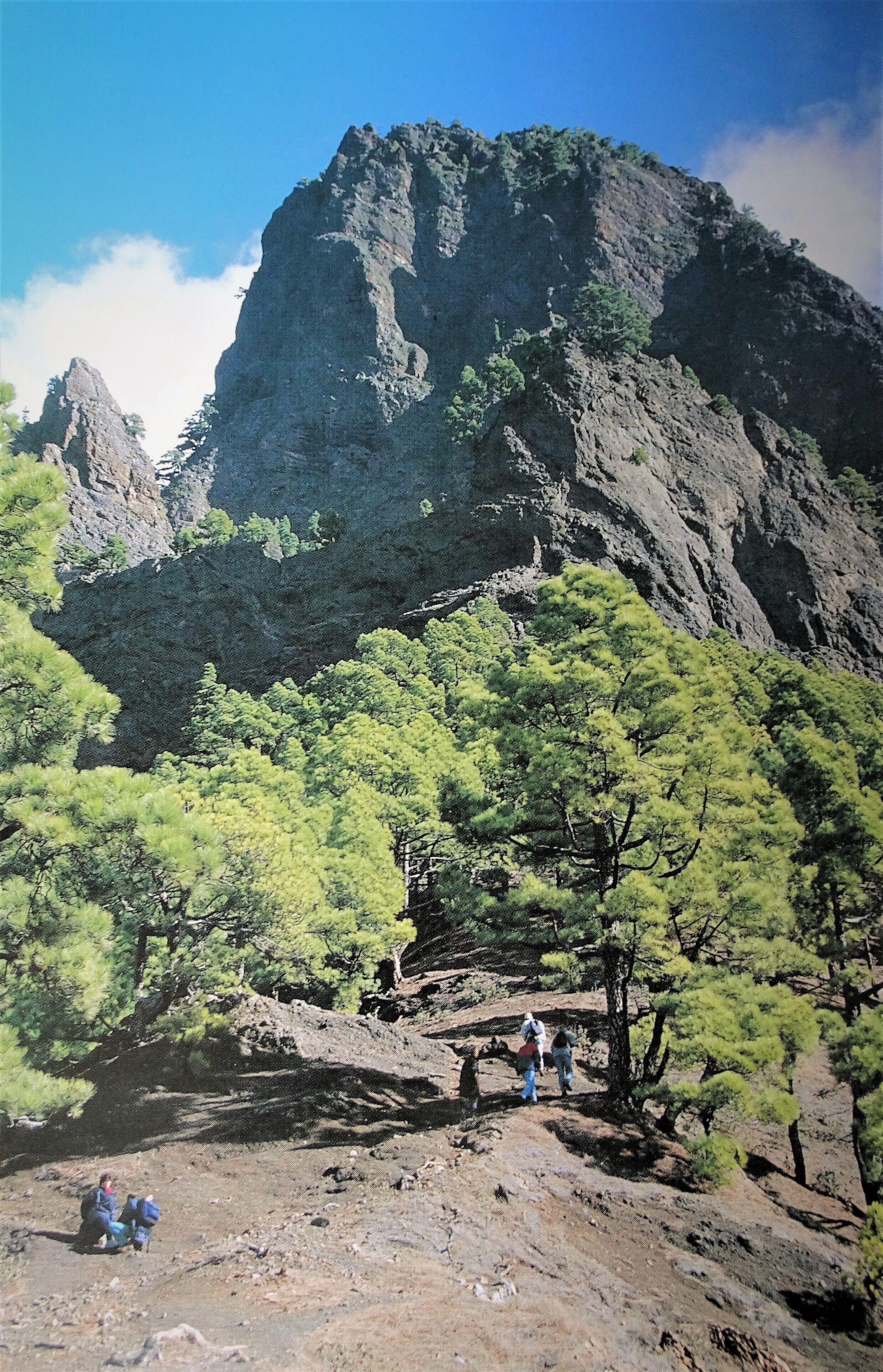 Walking around the Caldera de Taburiente.
On the small Canary Island of La Palma you will find one of the largest volcano craters in the world: the Caldera de Taburiente. The crater is about 28 by 10 kilometres in size and 1500 metres deep. A visit to the national park around this crater is therefore one of the highlights of a trip to La Palma.
