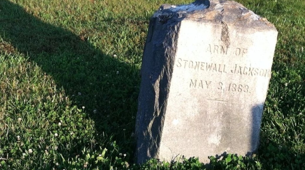 Stonewall Jackson's arm, the only stone in a family cemetery. One of the oddest memorials of the civil war.