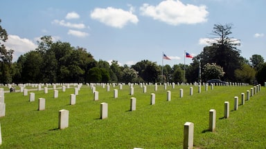 Created in 1866, the Spotslvania Confederate Cemetery holds the remains of more than 600 Confederate soldiers killed in Civil War battles around the region.
