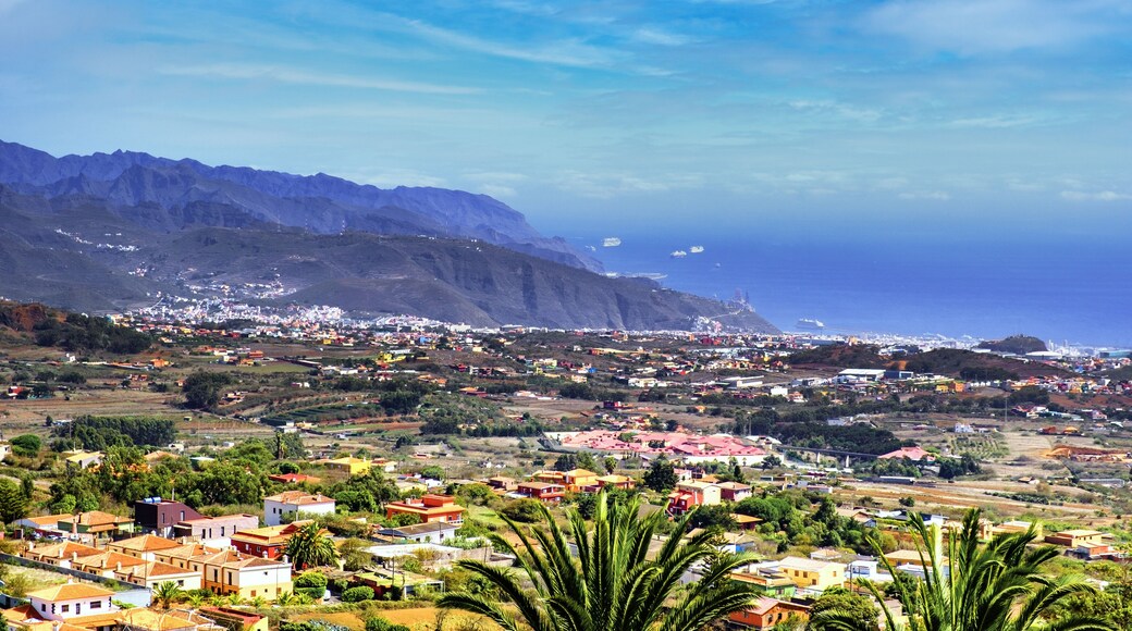 La Esperanza, El Rosario, 10/12/2020, Tenerife, Spain. Impressions The community, a popular excursion destination, is located at an altitude of 905 meters, where the pine and eucalyptus forest begins