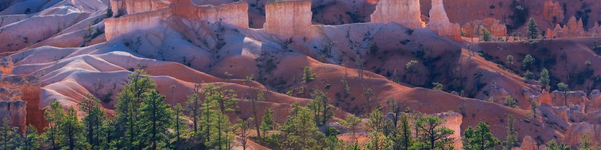 A rugged landscape with red rock formations and green trees.
