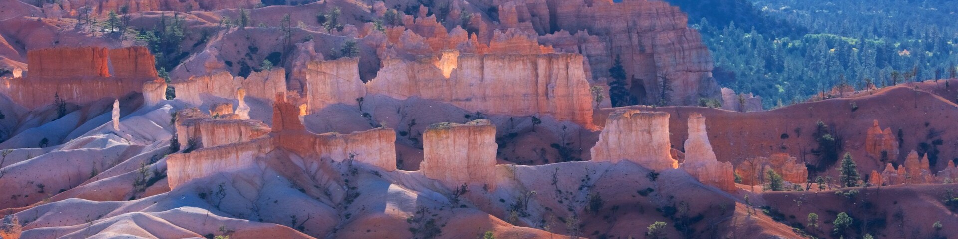 Sunrise Point mostrando vista al desierto, una garganta o cañón y escenas tranquilas