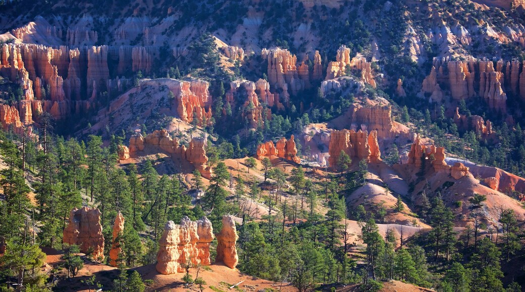 日出角 其中包括 峽谷, 沙漠景觀 和 寧靜的景觀