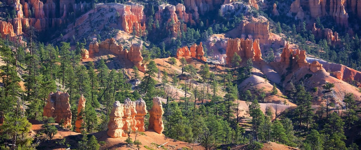 Sunrise Point featuring tranquil scenes, a gorge or canyon and desert views