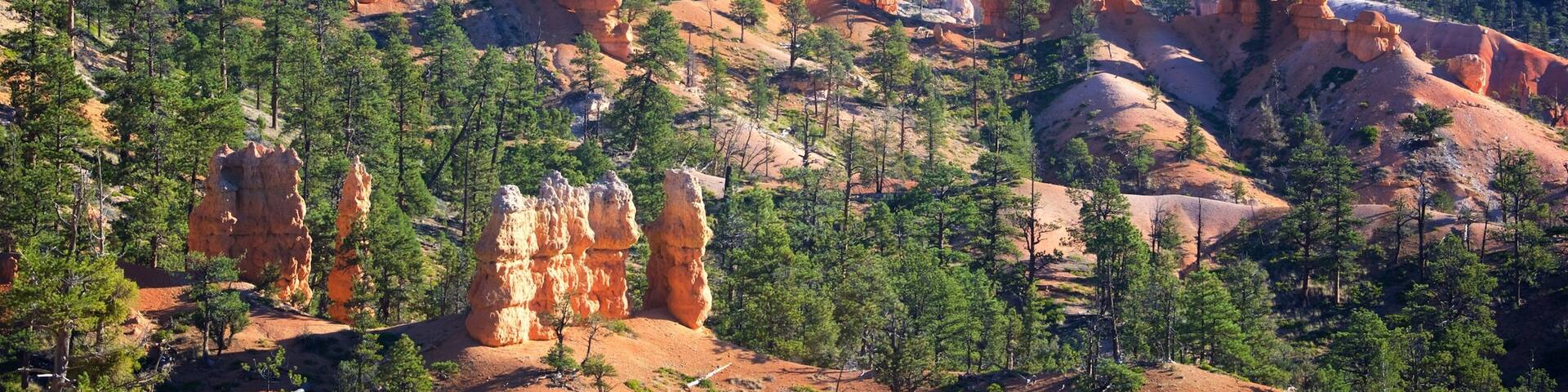 Sunrise Point featuring a gorge or canyon, desert views and tranquil scenes