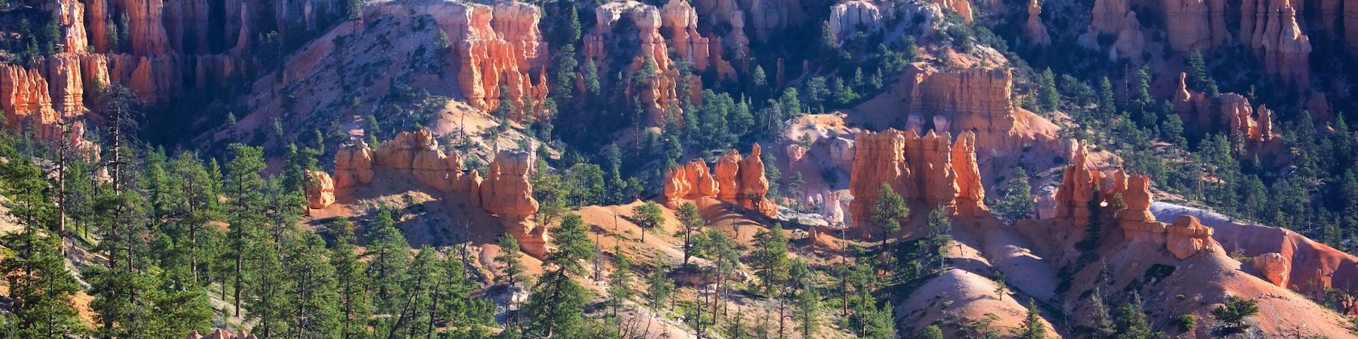 Sunrise Point que inclui um desfiladeiro ou canyon, paisagens do deserto e cenas tranquilas