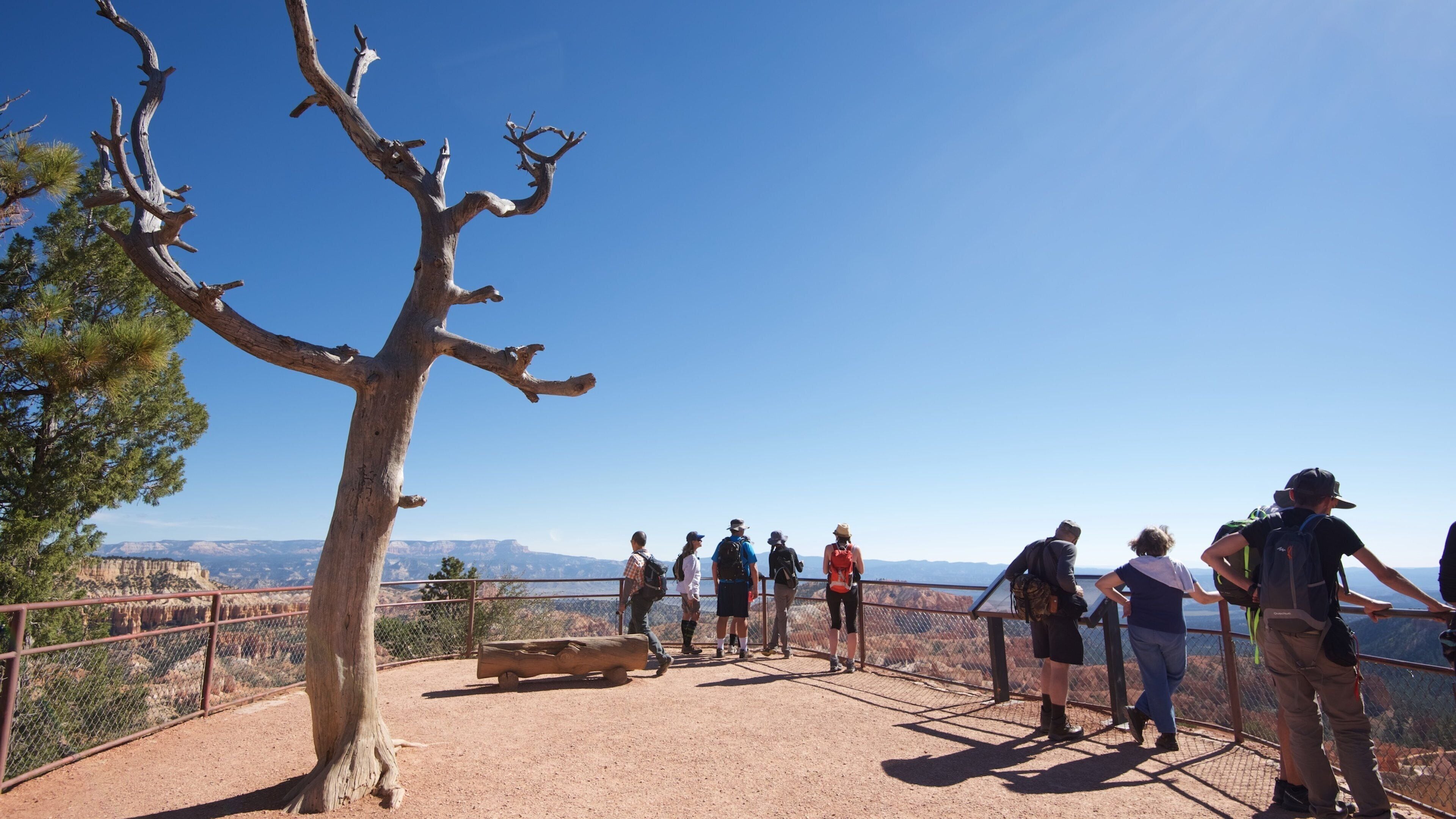 선라이즈 포인트 을 보여주는 계곡 또는 협곡, 사막 과 전경