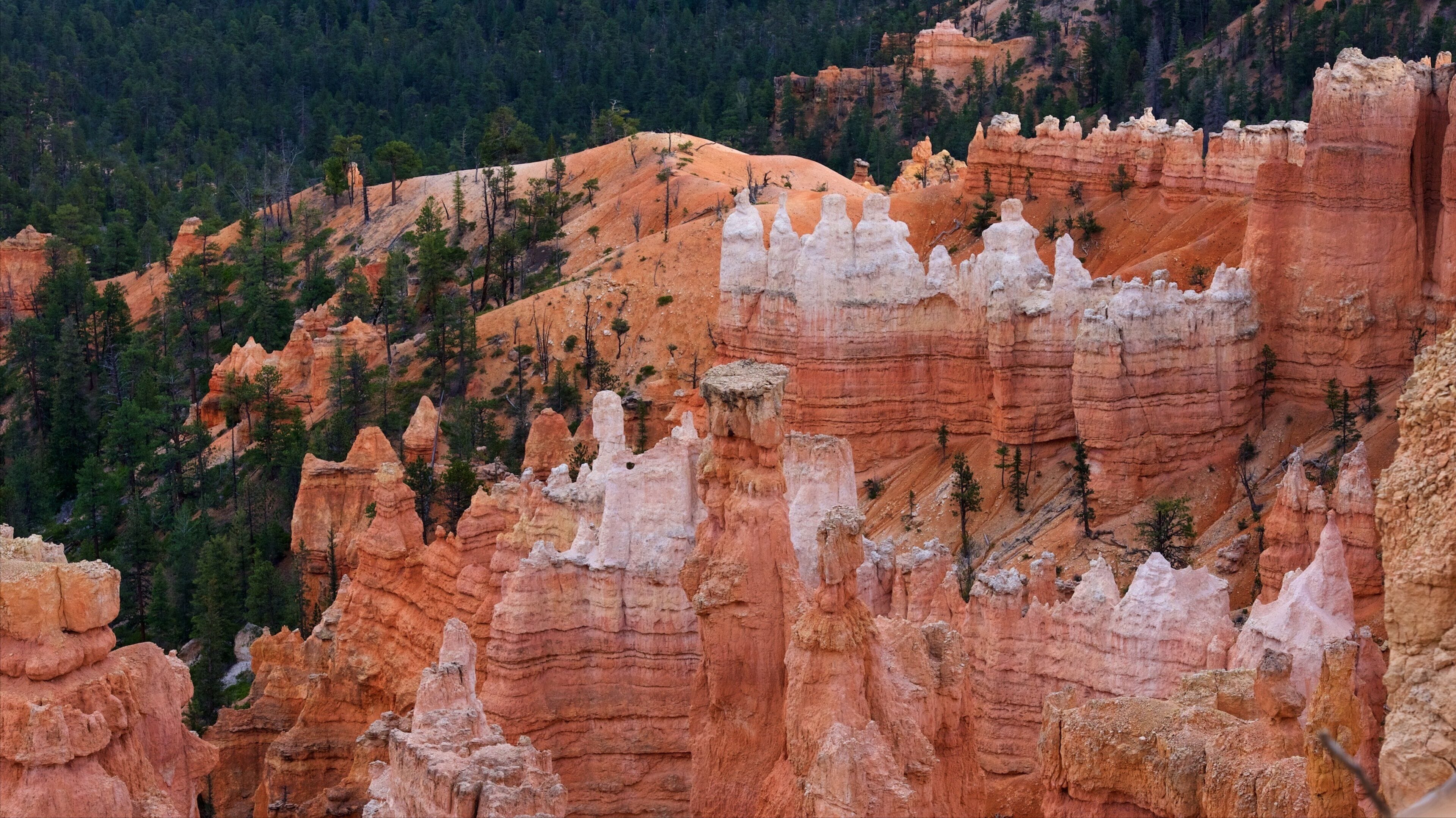 Sunset Point showing tranquil scenes, a gorge or canyon and desert views